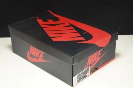 Low Retro Voodoo Zion Jordan 1 OG Williamson 0831